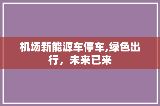 机场新能源车停车,绿色出行，未来已来
