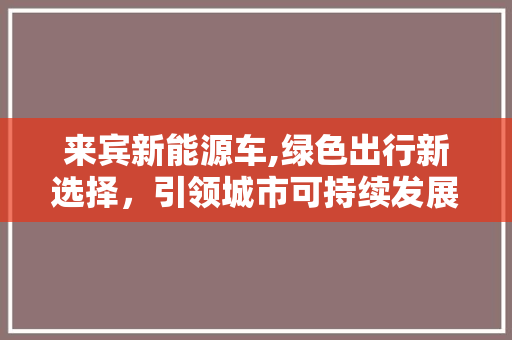 来宾新能源车,绿色出行新选择，引领城市可持续发展