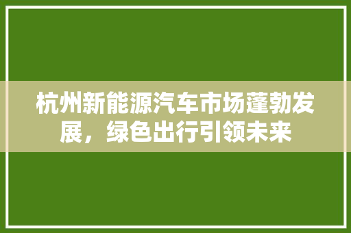 杭州新能源汽车市场蓬勃发展，绿色出行引领未来