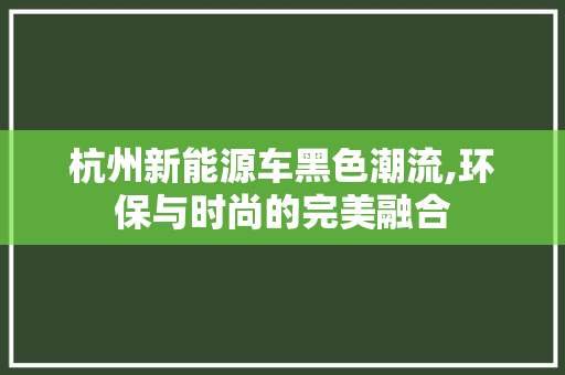 杭州新能源车黑色潮流,环保与时尚的完美融合