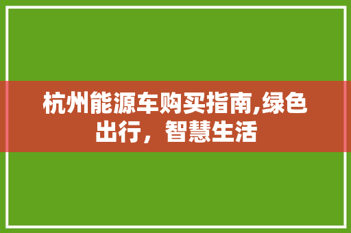 杭州能源车购买指南,绿色出行，智慧生活