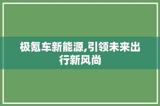 极氪车新能源,引领未来出行新风尚