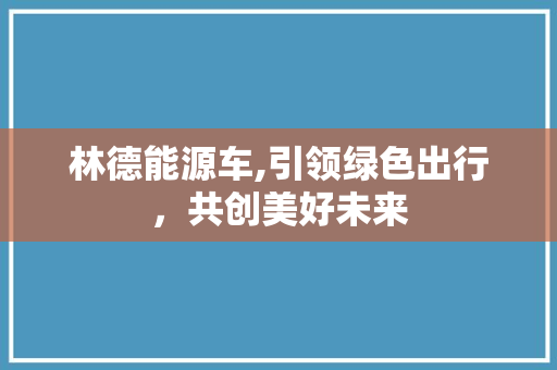 林德能源车,引领绿色出行，共创美好未来