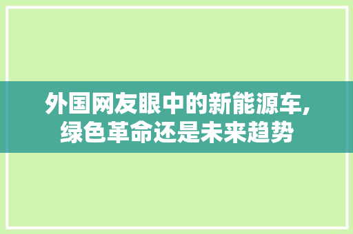 外国网友眼中的新能源车,绿色革命还是未来趋势