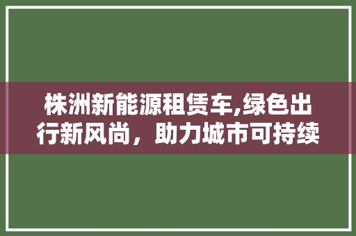 株洲新能源租赁车,绿色出行新风尚，助力城市可持续发展