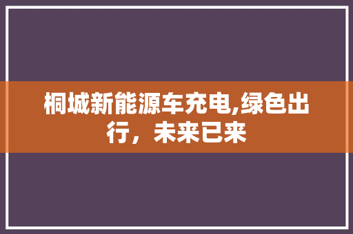 桐城新能源车充电,绿色出行，未来已来