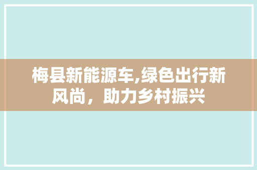 梅县新能源车,绿色出行新风尚，助力乡村振兴
