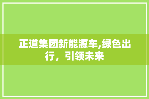 正道集团新能源车,绿色出行，引领未来