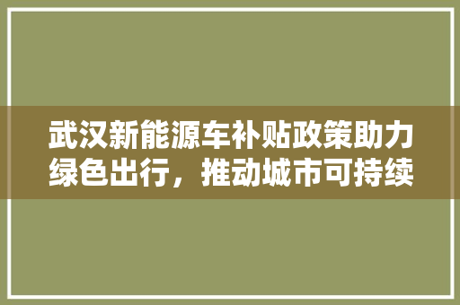 武汉新能源车补贴政策助力绿色出行，推动城市可持续发展