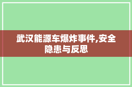 武汉能源车爆炸事件,安全隐患与反思