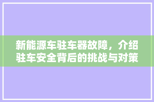 新能源车驻车器故障，介绍驻车安全背后的挑战与对策