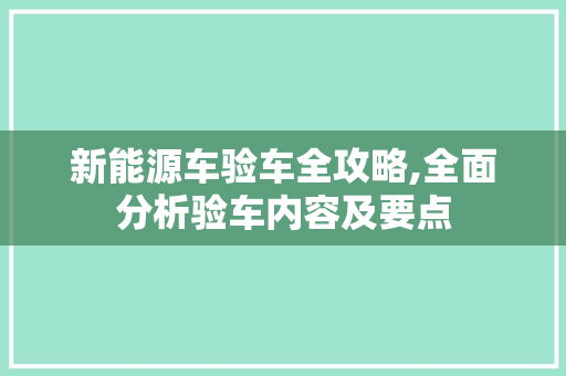 新能源车验车全攻略,全面分析验车内容及要点