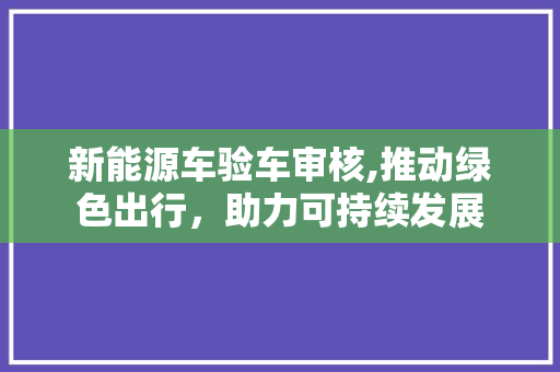 新能源车验车审核,推动绿色出行，助力可持续发展