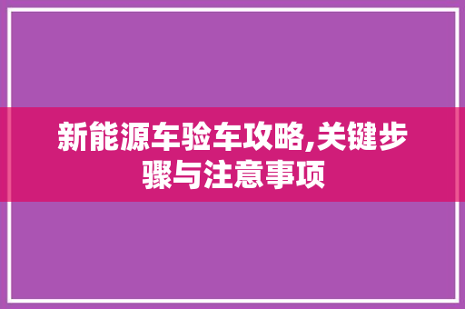 新能源车验车攻略,关键步骤与注意事项