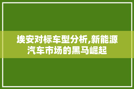 埃安对标车型分析,新能源汽车市场的黑马崛起