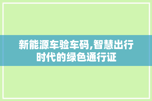新能源车验车码,智慧出行时代的绿色通行证