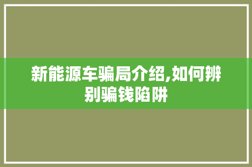 新能源车骗局介绍,如何辨别骗钱陷阱