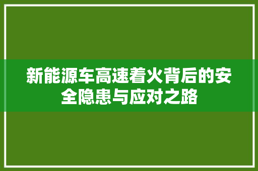 新能源车高速着火背后的安全隐患与应对之路