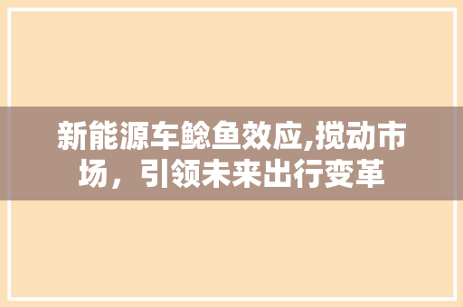新能源车鲶鱼效应,搅动市场，引领未来出行变革