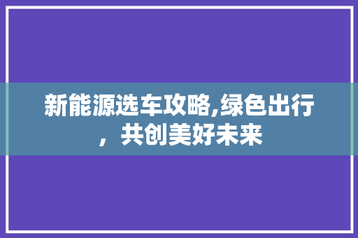 新能源选车攻略,绿色出行，共创美好未来