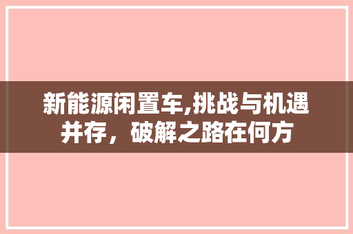 新能源闲置车,挑战与机遇并存，破解之路在何方