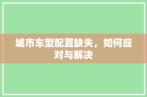 城市车型配置缺失，如何应对与解决