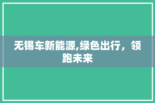 无锡车新能源,绿色出行，领跑未来