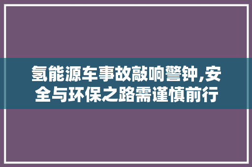 氢能源车事故敲响警钟,安全与环保之路需谨慎前行