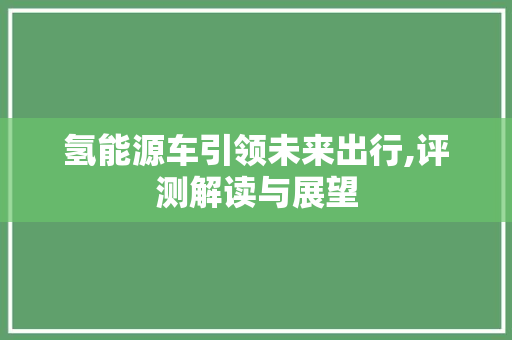 氢能源车引领未来出行,评测解读与展望