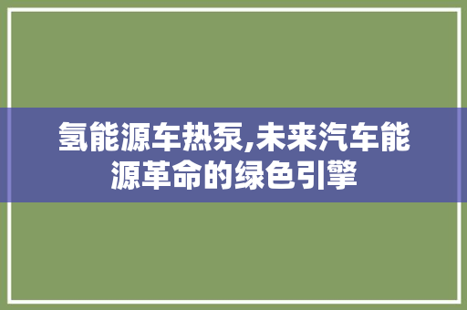 氢能源车热泵,未来汽车能源革命的绿色引擎