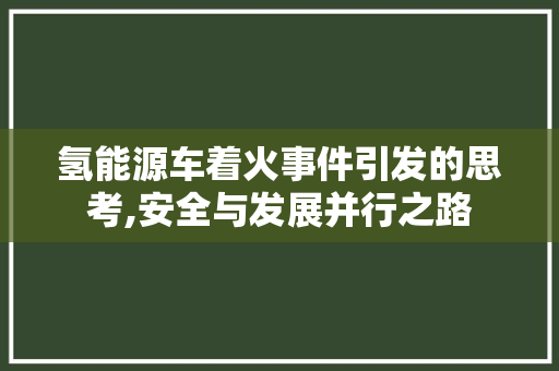 氢能源车着火事件引发的思考,安全与发展并行之路