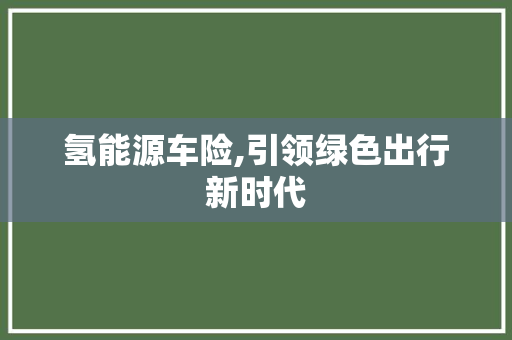 氢能源车险,引领绿色出行新时代