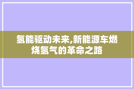 氢能驱动未来,新能源车燃烧氢气的革命之路