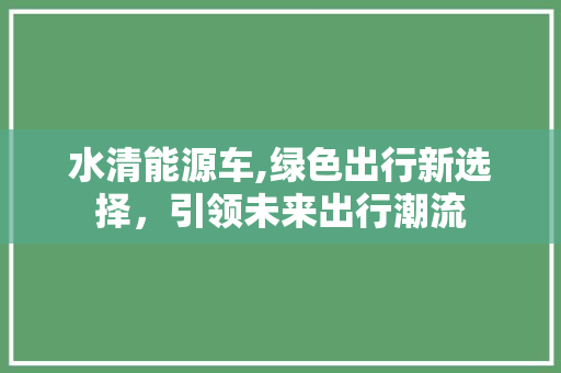 水清能源车,绿色出行新选择，引领未来出行潮流