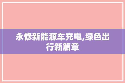 永修新能源车充电,绿色出行新篇章