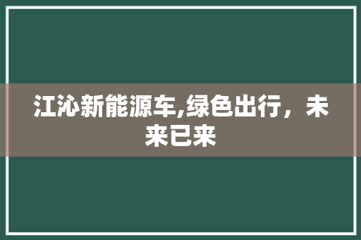 江沁新能源车,绿色出行，未来已来