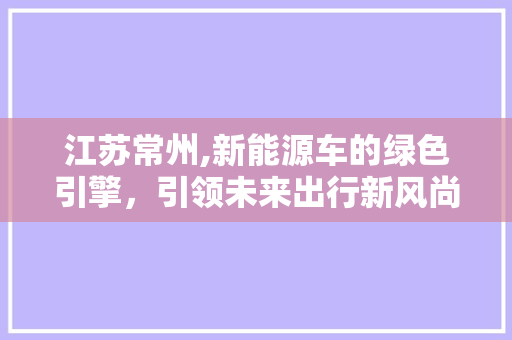 江苏常州,新能源车的绿色引擎，引领未来出行新风尚