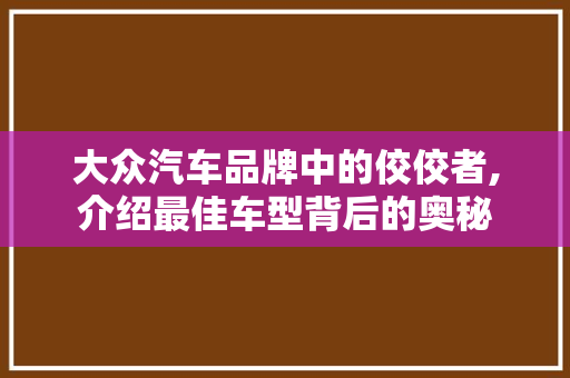 大众汽车品牌中的佼佼者,介绍最佳车型背后的奥秘