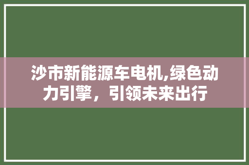 沙市新能源车电机,绿色动力引擎，引领未来出行