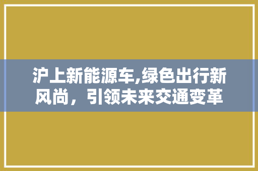 沪上新能源车,绿色出行新风尚，引领未来交通变革