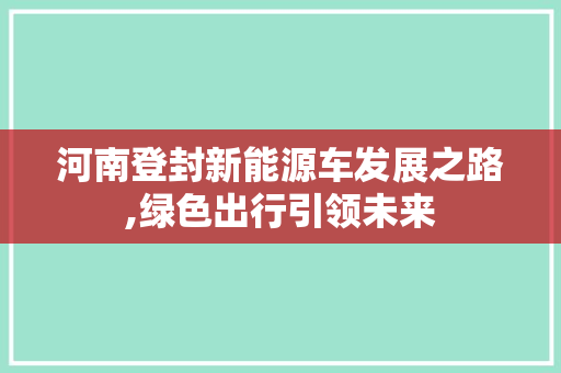 河南登封新能源车发展之路,绿色出行引领未来