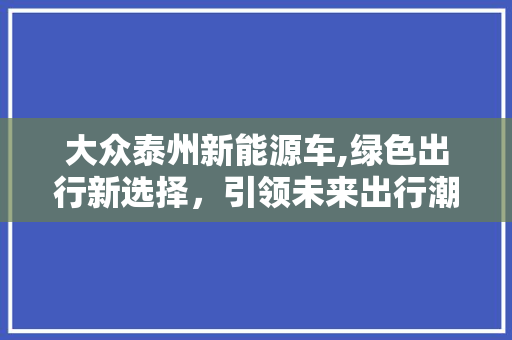 大众泰州新能源车,绿色出行新选择，引领未来出行潮流
