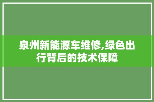 泉州新能源车维修,绿色出行背后的技术保障