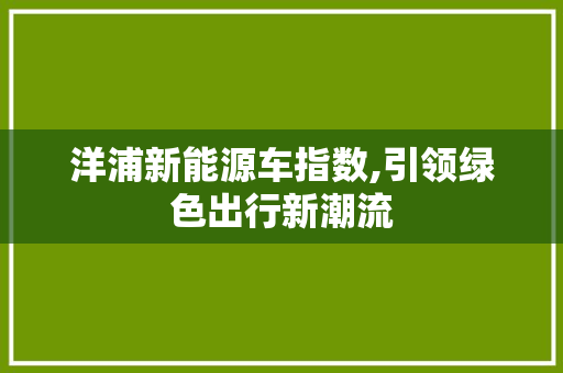 洋浦新能源车指数,引领绿色出行新潮流