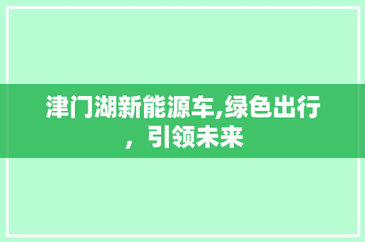 津门湖新能源车,绿色出行，引领未来