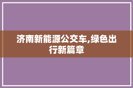 济南新能源公交车,绿色出行新篇章