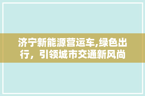 济宁新能源营运车,绿色出行，引领城市交通新风尚