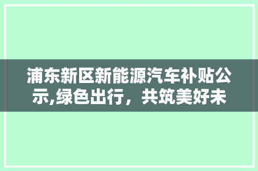 浦东新区新能源汽车补贴公示,绿色出行，共筑美好未来