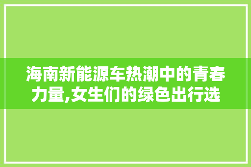 海南新能源车热潮中的青春力量,女生们的绿色出行选择