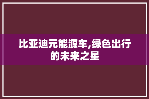 比亚迪元能源车,绿色出行的未来之星